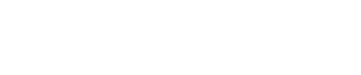 NASCAM